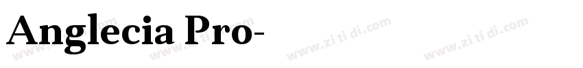 Anglecia Pro字体转换